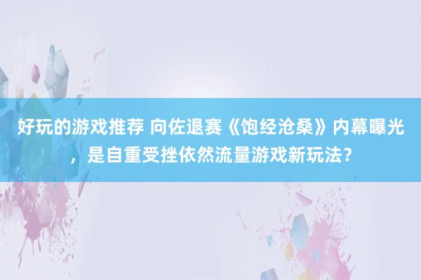 好玩的游戏推荐 向佐退赛《饱经沧桑》内幕曝光，是自重受挫依然